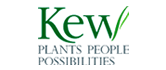 kew kew
